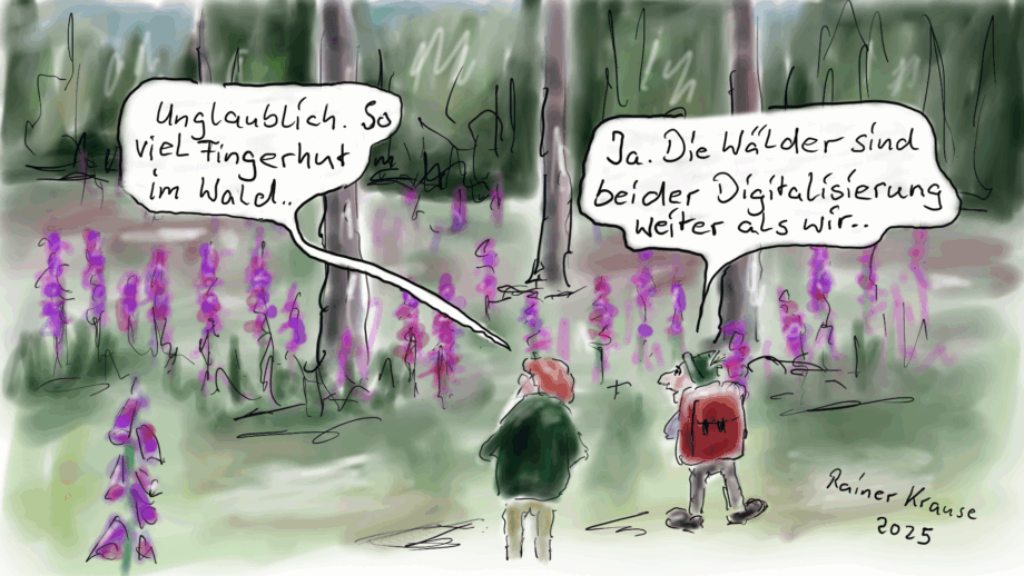 Karikaturen